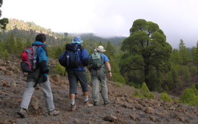Curso de Iniciación al Montañismo